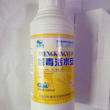 世連健康集團 引領食品銷售新潮流，守護全民健康生活